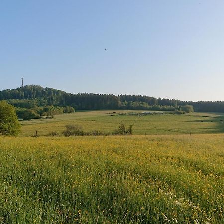 Ferienwohnung Am Hochkelberg Bereborn Εξωτερικό φωτογραφία